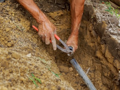 Irrigation Assistant Program